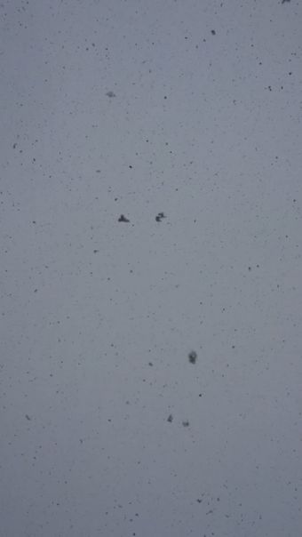 下雪高清视频视频素材视频素材