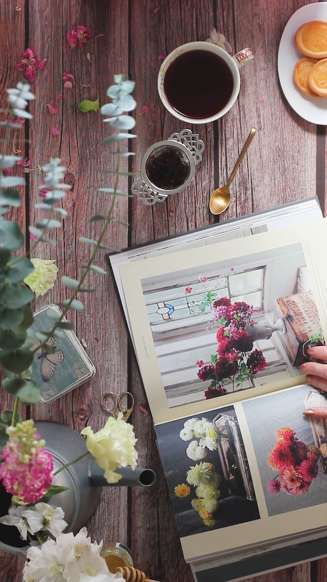Chapter Time Videos, Download The BEST Free 4k Stock Video Footage