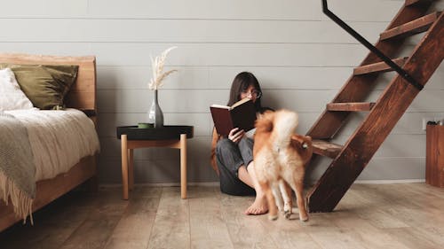 Woman Holding A Book While Plays With A Dog