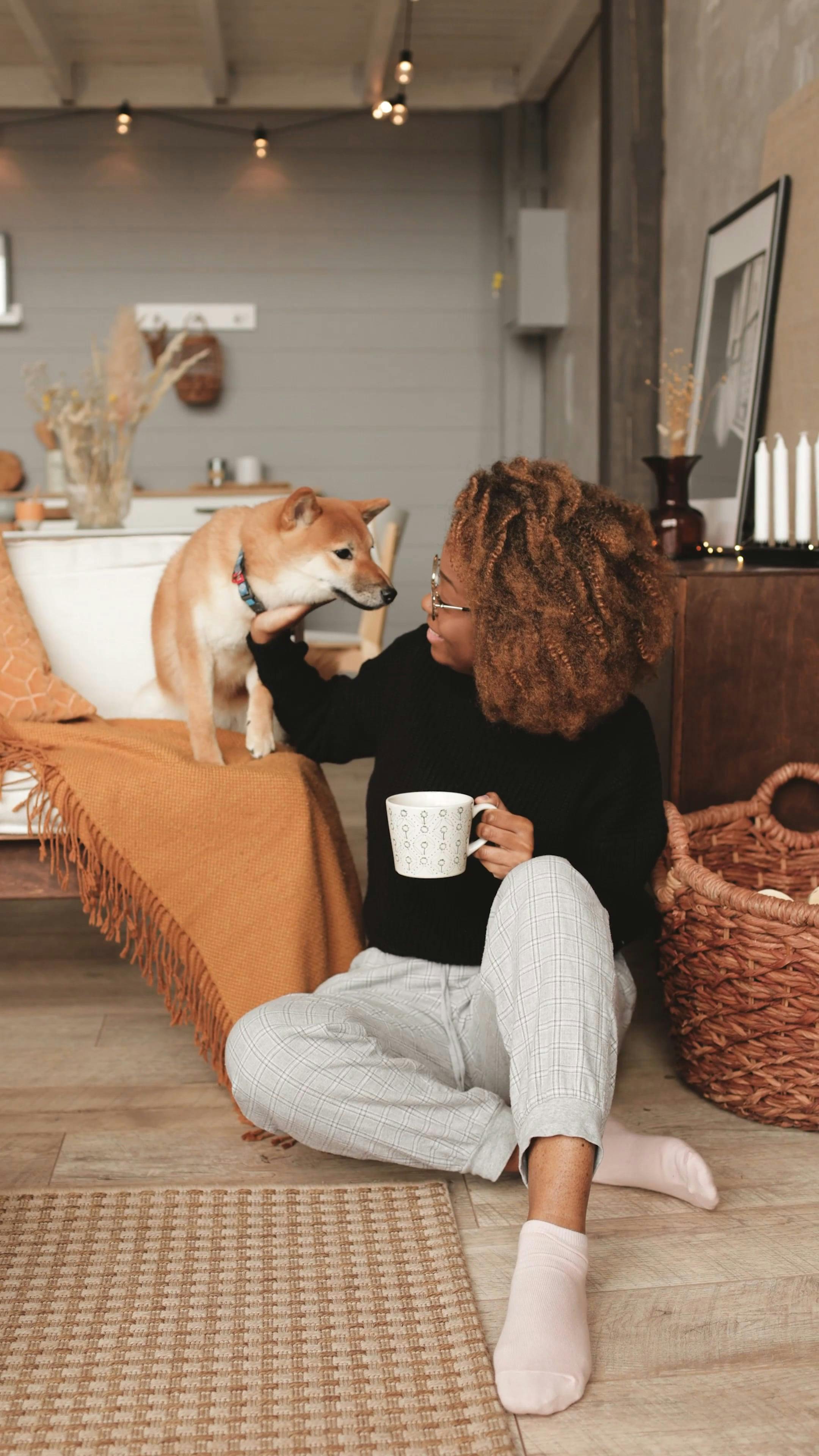 Woman Playing with her Dog inside the House Free Stock Video Footage, RoyaltyFree 4K & HD Video