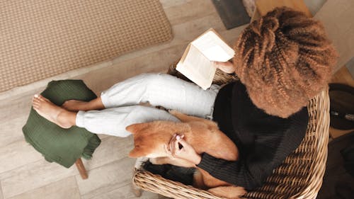 Woman Caressing A Dog While Reads A Book