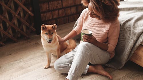 Woman Caressing Dog While Seats On Floor