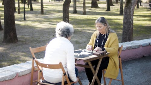 Two Women Playing Dominoes in a Park 