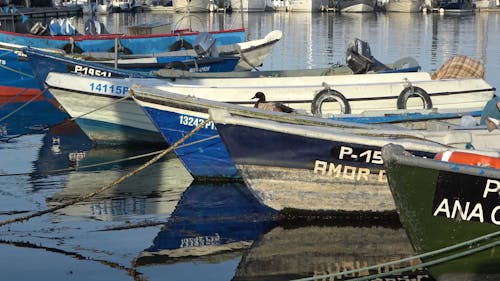 Boats Docked at a Marina