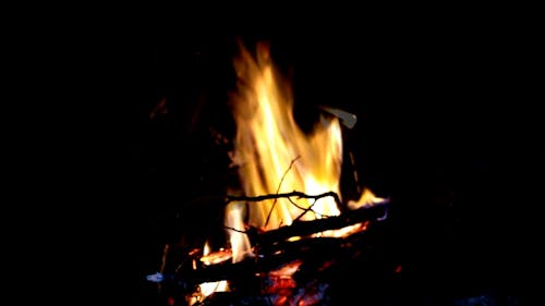 Campfire Burning