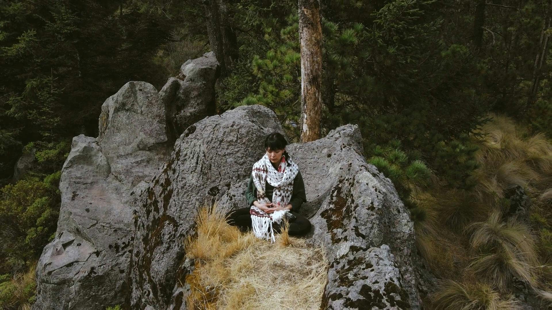 A Woman Meditating Outdoors · Free Stock Video