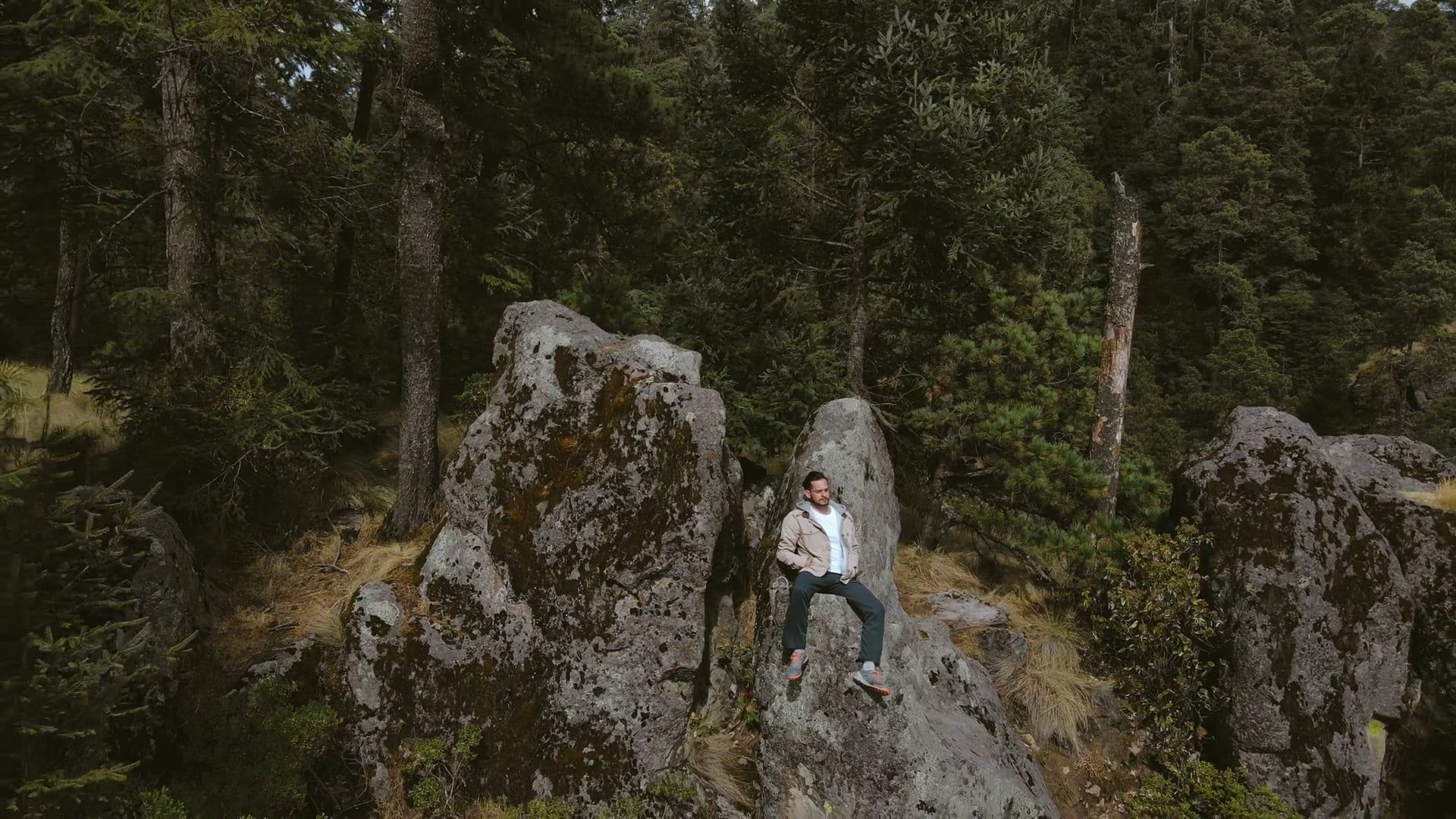 Mountainous Forest Videos, Download The BEST Free 4k Stock Video
