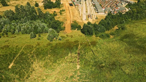 An Aerial Footage of a Field of Trees and a Town