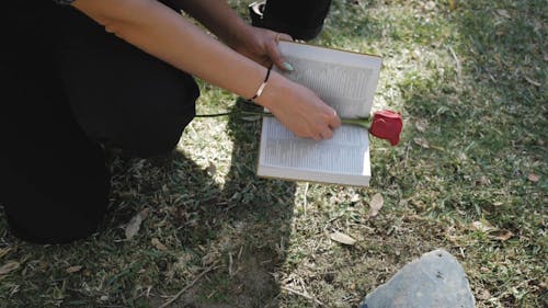 A Woman Putting a Red Rose on the Tombstone While Holding a Bible