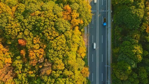 Top View of Vehicles Driving on Highway