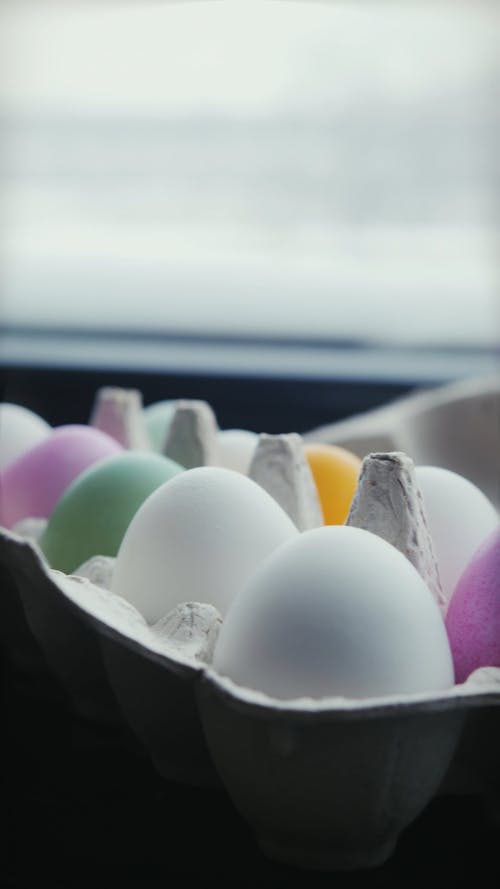 Painted Eggs in a Tray