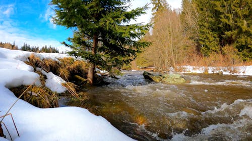 Flowing Stream