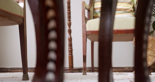 A Cat Walking Under The Furniture