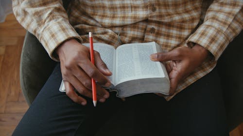 Person Reading the Bible