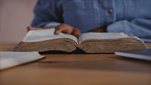 Close-Up View of Person Reading a Book