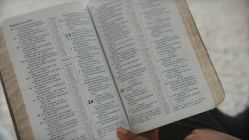 Close-Up View of a Person Reading Bible