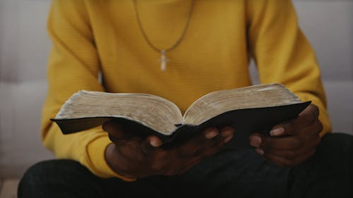 Boy Reading a Bible