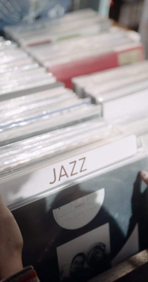 A Woman Shopping for Vinyl Records