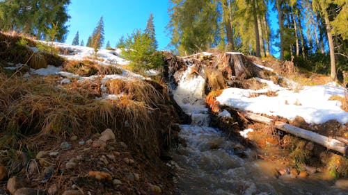 A Stream Flowing