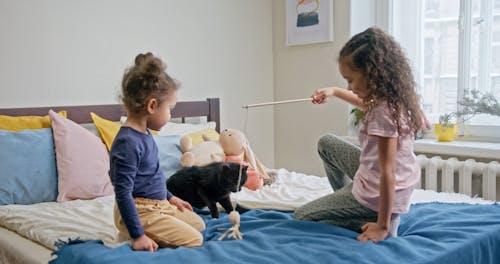 Kids Playing Catch The Bait With Their Cat