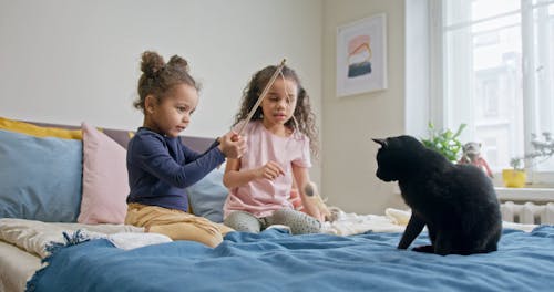 Kids Playing With Their Black Cat