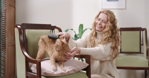 A Woman Brushing Her Cat