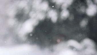 雪花视频素材