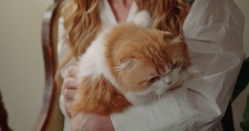 A Woman Taking Care Of Her Pet