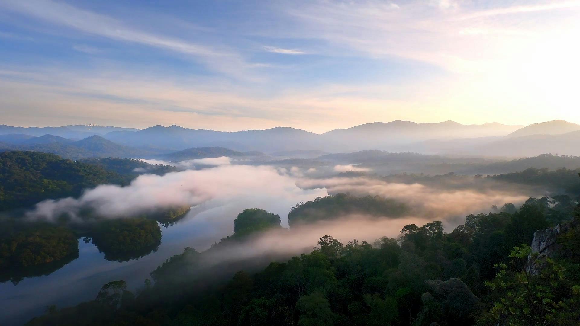 Video by Ibrahim Bennett