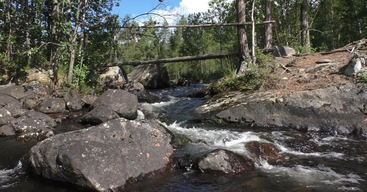 Brook Front View A Brook in a Picturesque Location Free Stock Video Footage, Royalty ...