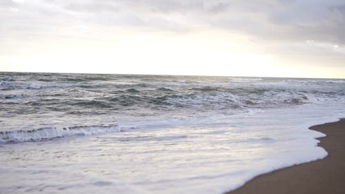 Beach Waves