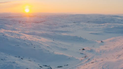 Aerial Shot of a Landscape