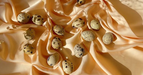 Quail Eggs For Easter Celebration