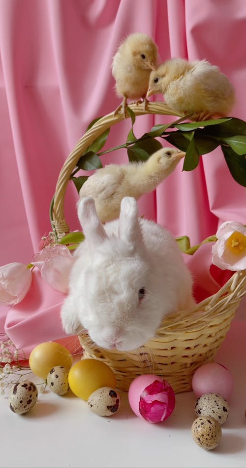 Rabbit And Chicks On An Easter Basket