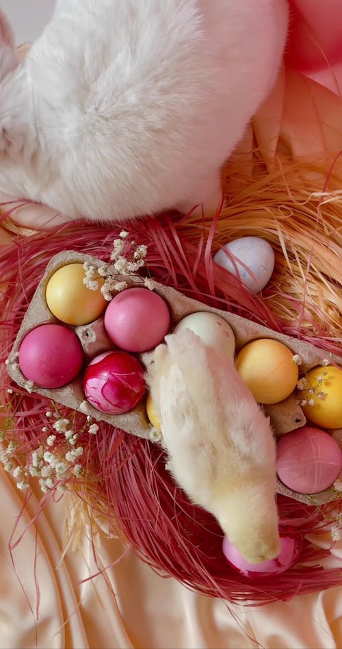 Rabbit And Chicks On An Easter Eggs Nest