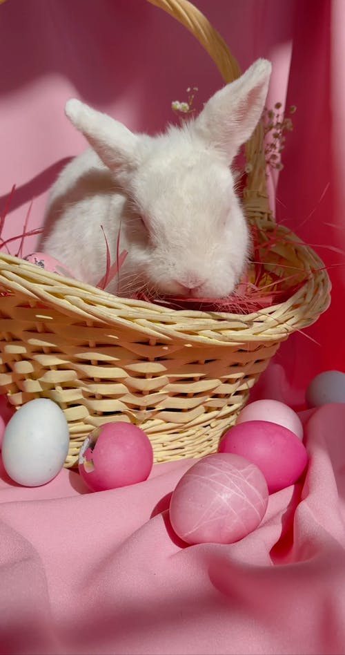 An Easter Bunny Inside A Basket