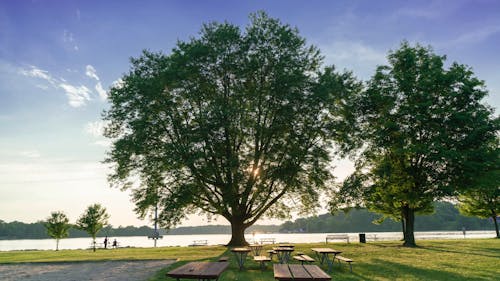 A Timelapse of a Park