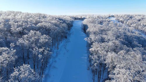 Drone Footage of a Snow Covered Forest