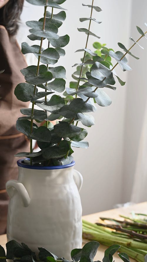 A Person Arranging a Plant in a Pot