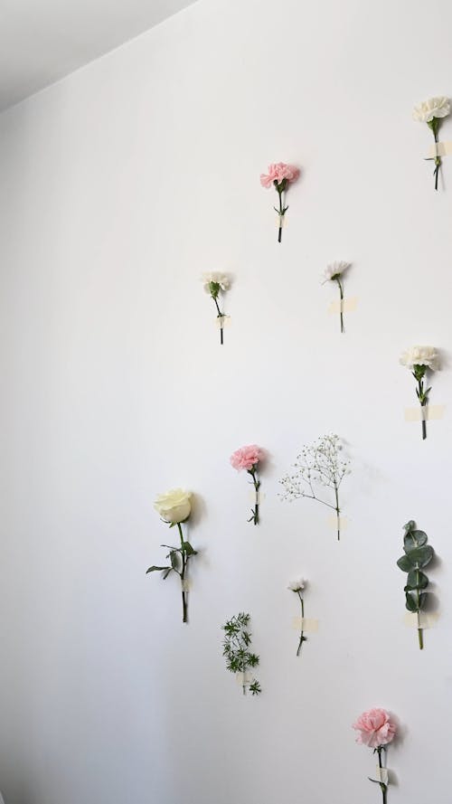 dried flower wall
