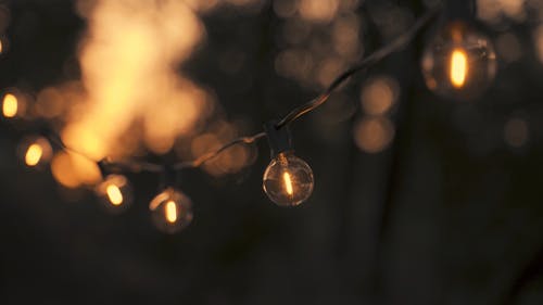 Dangling Light Bulbs