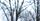 winter background