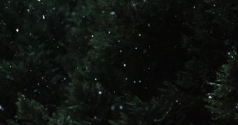 雪花视频素材