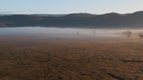 Aerial View of a Desert