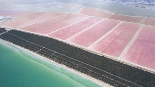 Aerial Shot of a Landscape