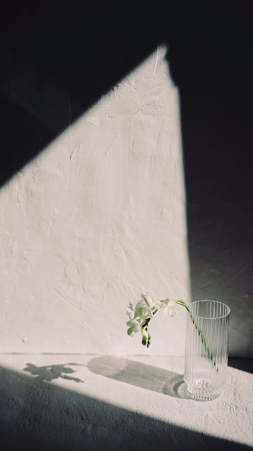 A Person Touches a Flower in a Glass