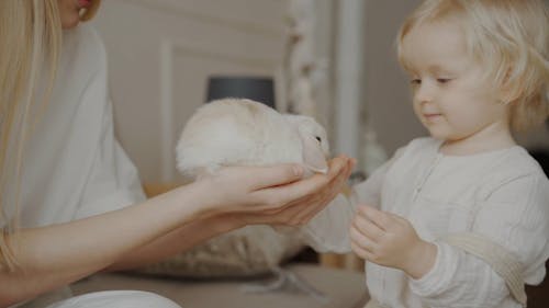 Girl Kissing a Rabbit