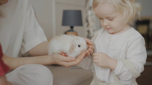 Baby Girl Looking at a Rabbit