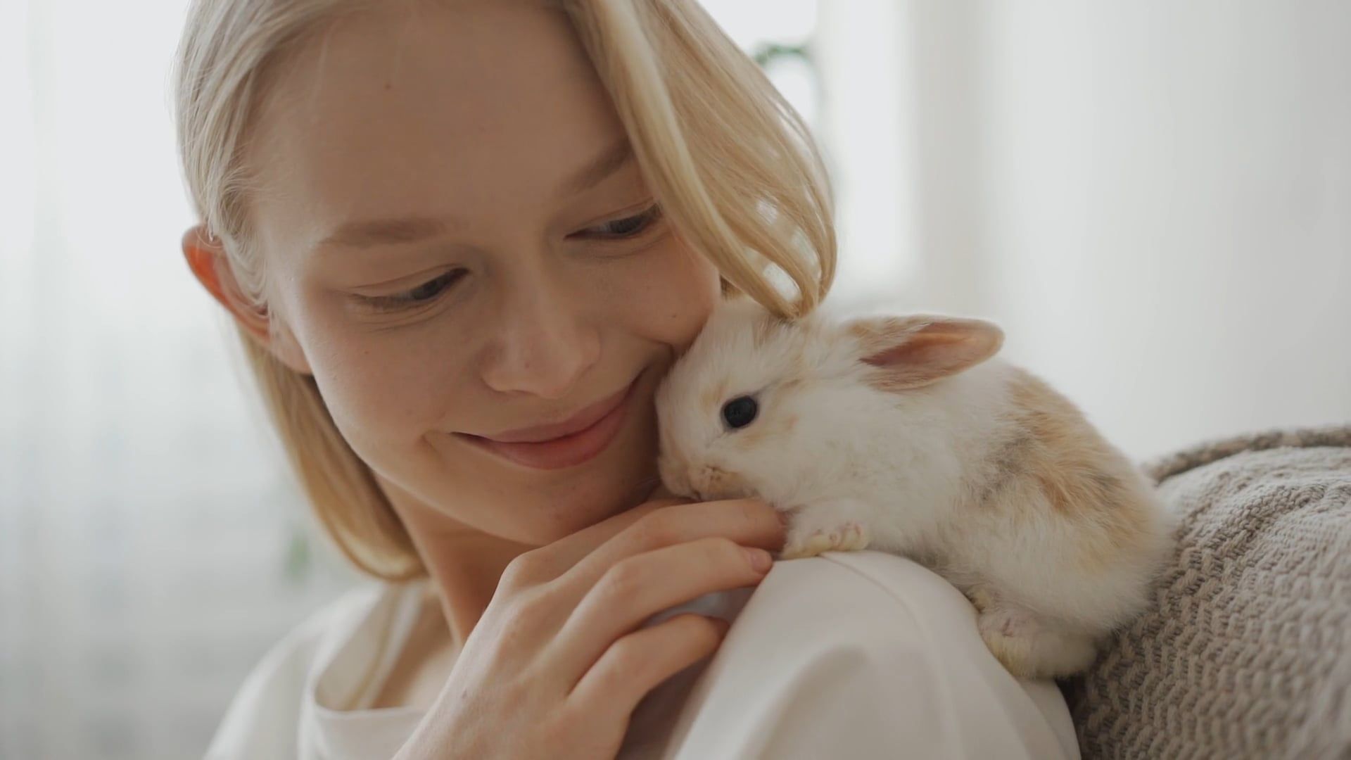 Woman Playing a Rabbit Free Stock Video Footage, Royalty-Free 4K & HD ...