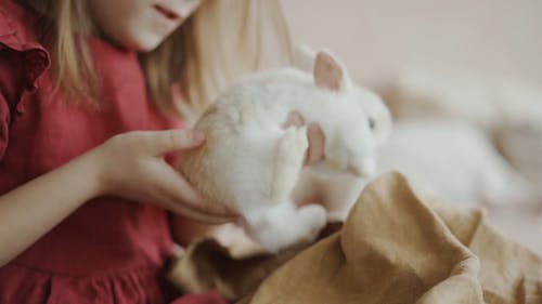 A Child Holding a Bunny
